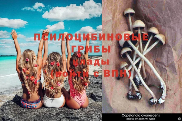 каннабис Алексин