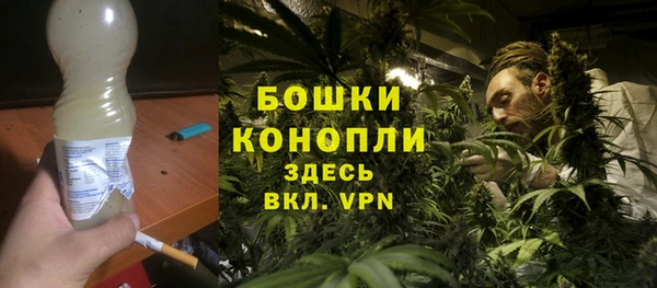 соль ск Абаза